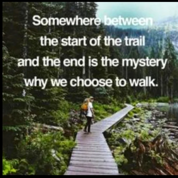 BLACK  COTTON Cardigan NPLC MOSSIMO SUPPLY CO Size M/L - Picture 14 of 16